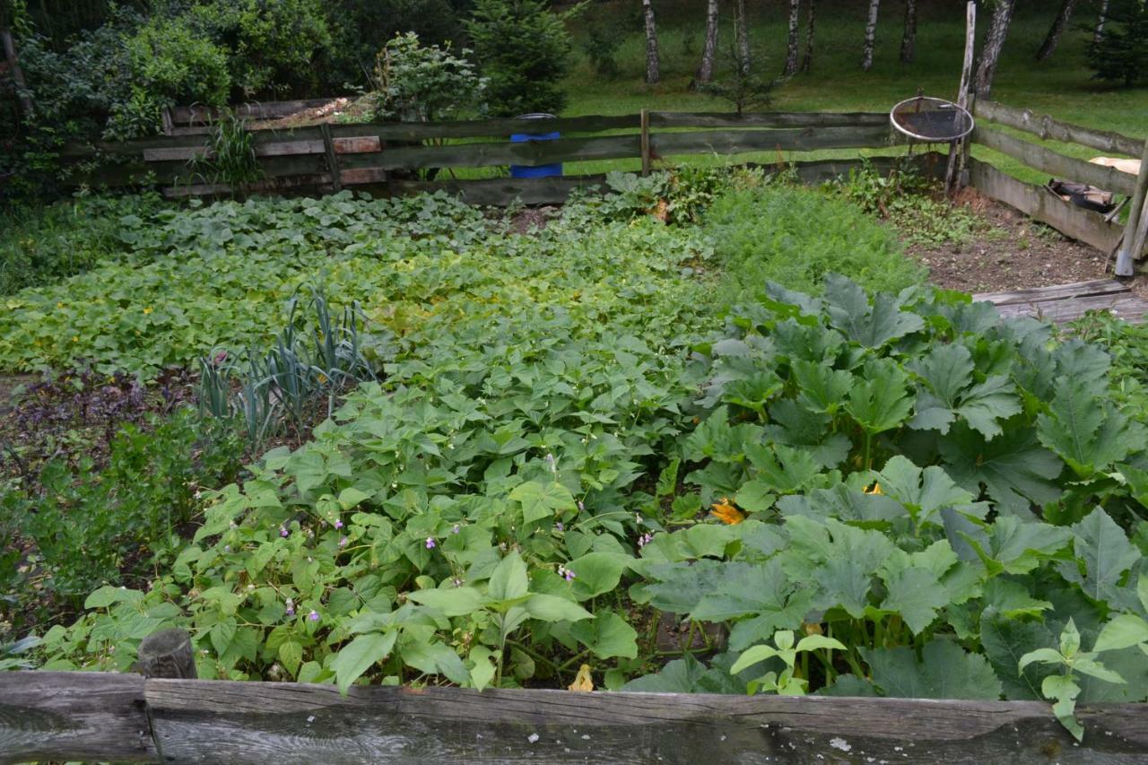 Agroturystyka Teosiowo Pobiedna Ngoại thất bức ảnh